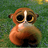 Cute Baby Lemur ♥