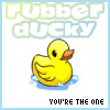 Rubber Ducky Your the One