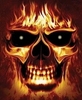 Flaming Boss Skull