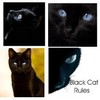 i love black cats