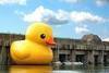 Industrial Strength Rubber Ducky