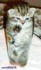 Kitty in a glass