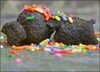 poo with sprinkles :)