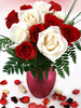 rEd &amp; wHitE RosEs