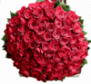 Bunch of 100 Red Roses