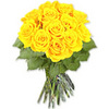 12 Yellow Roses