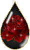 a Red Rose Drop