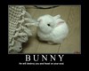 Bunny ~ Soul Eater
