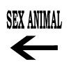 Sex Animal