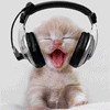 singin' cat
