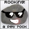 rockin' pet rock
