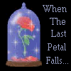 wen the last petal falls