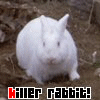 The Rabbit of Caerbannog 