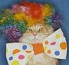 clown pet costume