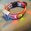 dog collar with led