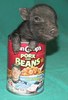 can of real pork and beans