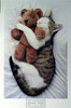 a cute cat cuddle