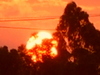 Sunset over Noosa Australia