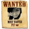 MOST WANTED PET!
