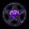 Purple Rose Pentacle