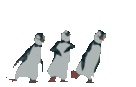 Yaaay Dancing Penguins