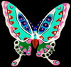 A Butterfly