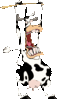 Mad Cow