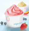 Frozen Yogurt 