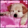 Just Another Inoccent Face
