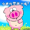 Piggy~miss me?