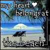 Beach Trip