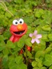 EMI elmo