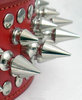 Spikey Red Spike Collar