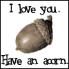 an acorn