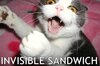 Cat with an invisible sandwich