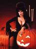 Halloween with Elvira