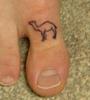 A Camel Toe