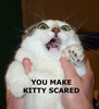You make kitty scared!