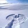 Snow Angel ~♥~♥~♥