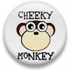 Cheeky Monkey!