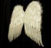 Angel wings for my lovly owner 