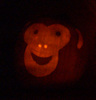 A Monkey Pumpkin