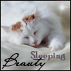 Sleeping Beauty Nap Time