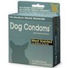 Condoms for DOGS!!