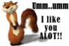 i like my owner