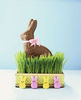 Easter Bunny Chocolate Gift