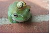 frog and snail