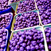 nice blueberries
