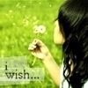 I Wish......