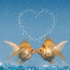 fishy kiss x3 Mmuackz~